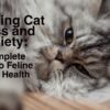 A Complete Guide to Feline Mental Health.